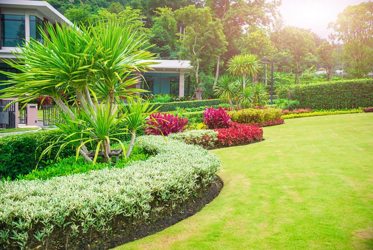 4 Tips for Landscape Design from Jennifer Miree Cope