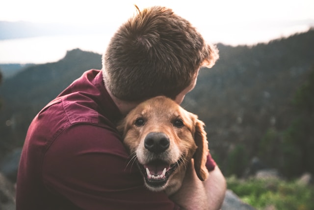 Everything You Need to Know About Revolution Plus Without a Vet Prescription