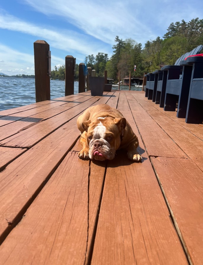 Luxury Lake George vacations with dogs