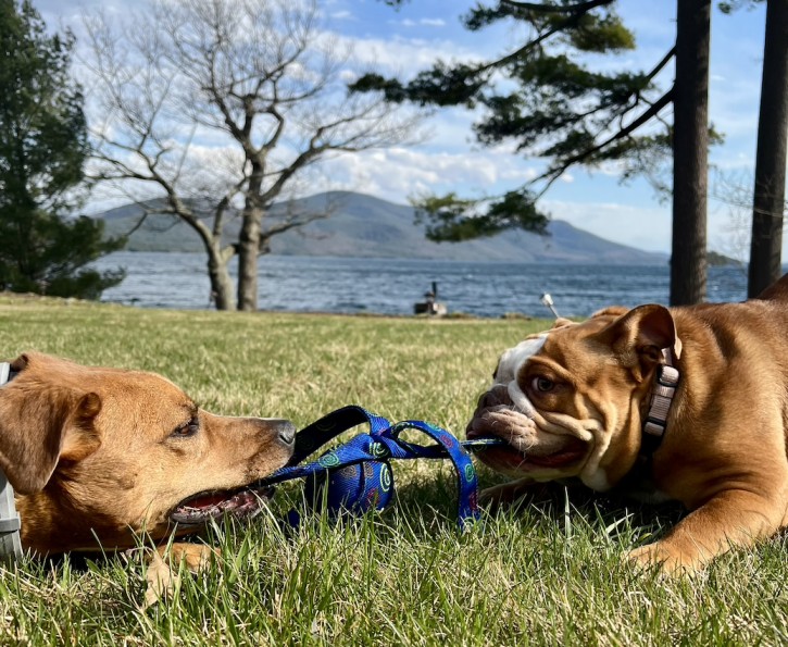 Luxury Lake George