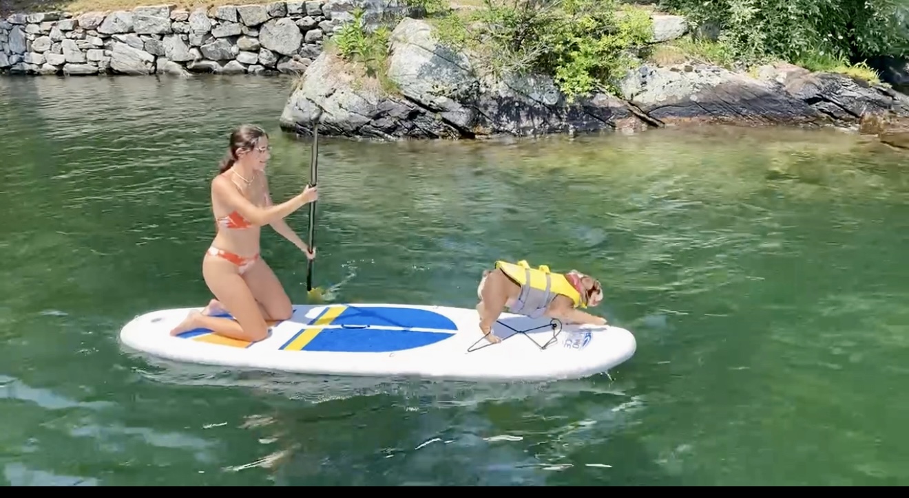 dog in lake - Luxury Lake George
