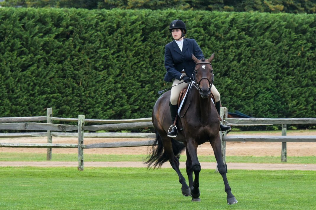 Leah Lane - Hunter_Jumper Equestrian